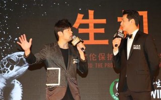 深度剖析广告联盟评测网，揭秘高效广告推广的秘诀