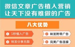 软文114软文广告联盟，打造高效营销，引领品牌新风尚