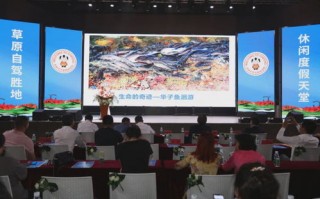 美途联盟，携手共创旅游新纪元