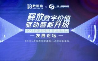 彼维广告传媒，重塑数字营销新生态的创意引擎