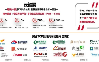 中易广告联盟，重塑数字营销新生态的领航者