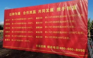 北方网络广告，重塑数字营销版图的新势力