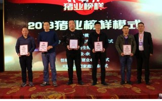 宣传易传媒，重塑数字时代下的品牌传播新生态