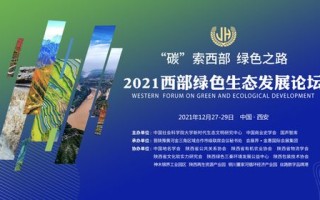 百度联盟，携手共创数字生态新篇章