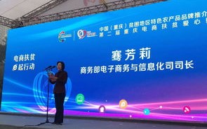 CPC广告哪家广告联盟做的好，深度剖析与推荐