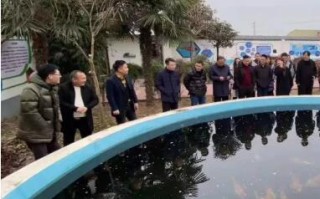 如何加入淘宝联盟，一步步指南