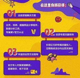 探索广告联盟之路，从零开始建立网站的投资与策略