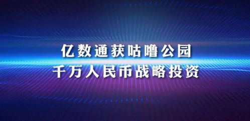团长广告联盟，重塑社区营销生态的革新力量