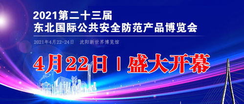 日付广告联盟与日支付广告联盟，探索广告类型的新维度