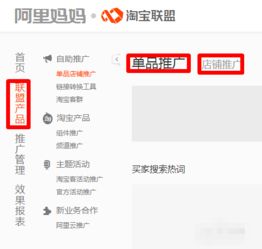 阿里妈妈淘宝联盟佣金提现后多久能到账？详解流程与注意事项