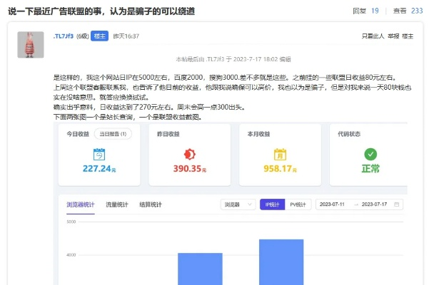 广告联盟站长是如何赚钱的，深度解析与实战策略