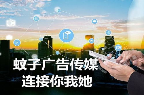 广告联盟，构建商业桥梁，驱动数字营销新纪元