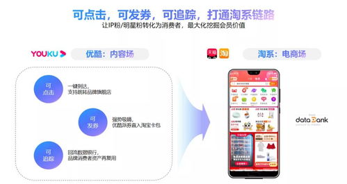 流量宝刷的IP能通过广告联盟审核吗？
