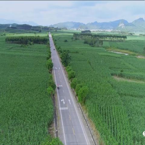 玩流量联盟，探索数字营销的新纪元
