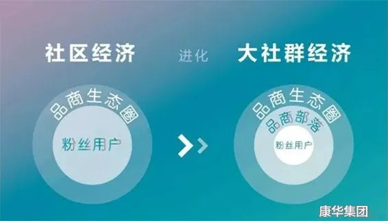 牛牛网盟，重塑数字时代下的社群经济新生态