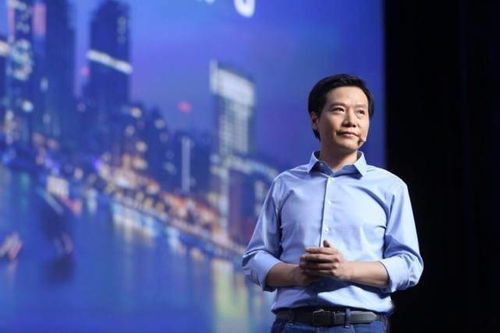 网络广告的未来，创新形式与策略探索
