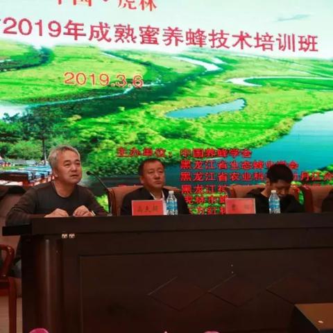 站长链流量联盟，构建互联网生态的共赢平台