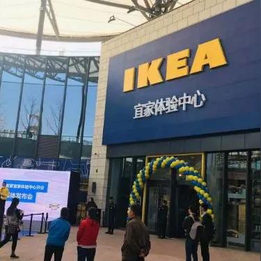 新手不会建网站，如何巧妙通过百度联盟？