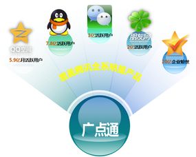 网络广告投放策略，精准触达与高效转化的艺术