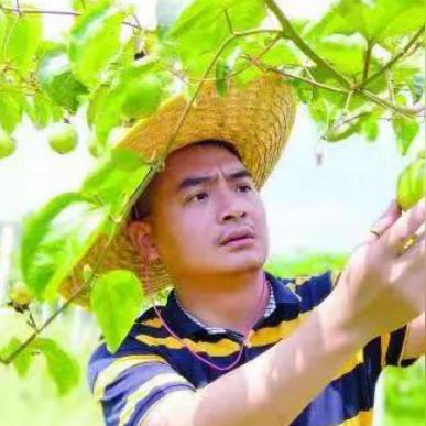 淘宝联盟效果深度解析，如何最大化联盟营销效益