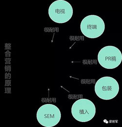 网络广告的具体表现形式，探索数字时代的营销新维度