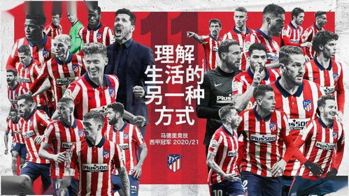 第11广告联盟怎么样，深度剖析与评测