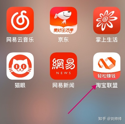 在线等，如何设置淘宝联盟才能出现在一淘