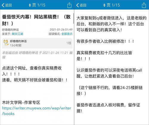 如何正确放置百度联盟的广告代码，提升收益与用户体验的指南