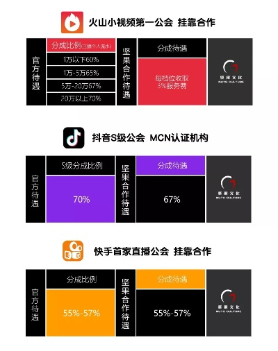 调客网，重塑数字时代的娱乐与社交新生态