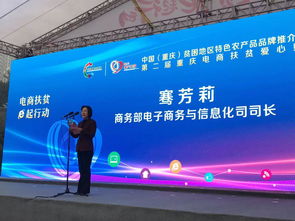 CPC广告哪家广告联盟做的好，深度剖析与推荐