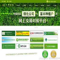 想做一个个人网站用广告联盟来挣钱，但不知道做什么内容好？