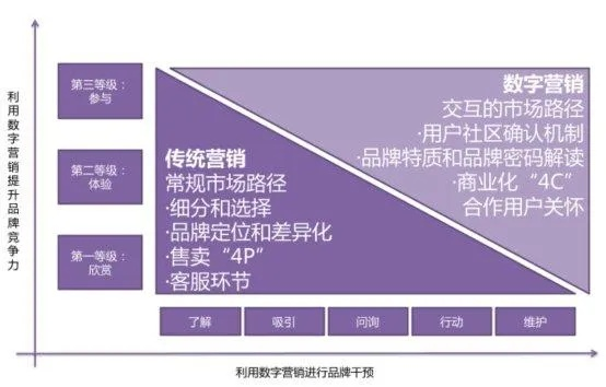网络广告的形式与策略，探索数字营销的新边界
