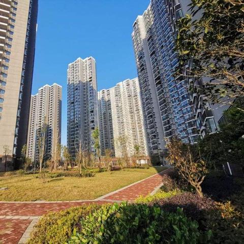 揭露黑心广告联盟陷阱，寻找日结信誉合作伙伴
