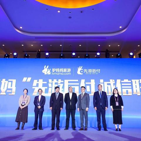 诚信联盟，构建社会信任基石的力量