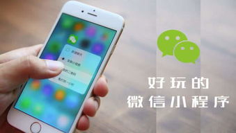 极速短信联盟，重塑通信新时代的无限可能