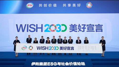 司令联盟，重塑战略格局的领导力革命