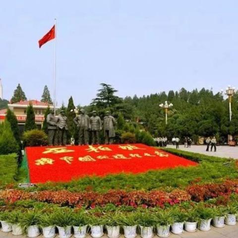 绑定了顶级域名的常来网免费空间能投放广告联盟在广告吗？