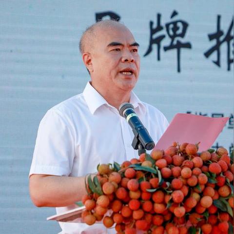 百度推广与百度联盟账号的异同解析