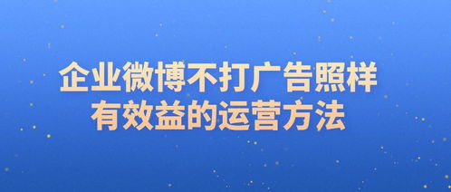 揭秘真正能赚钱的博客广告联盟，避开骗子，实现盈利