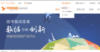 如何高效在淘宝联盟上发布推广任务，全面指南与策略