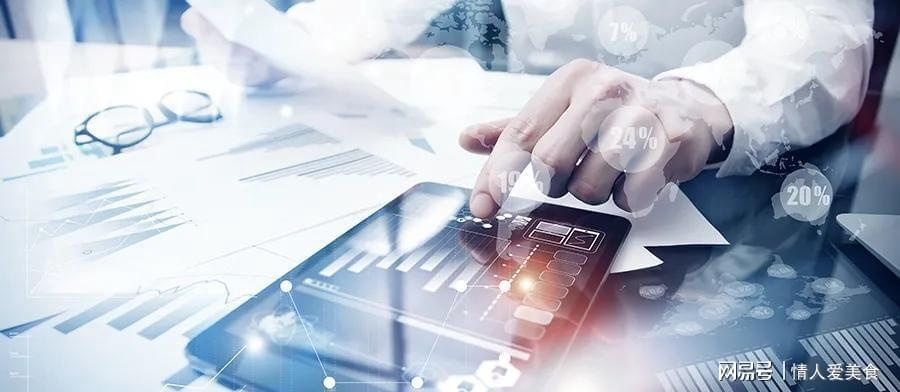 揭秘X档案CPA联盟，会计行业的隐秘力量与未来趋势