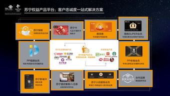 永信广告联盟，构建数字时代下的高效营销生态