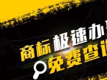 探索广告联盟盈利之路，电影站建设的版权挑战与机遇