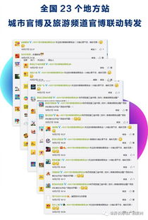 网络广告如何精准投放，策略与实践