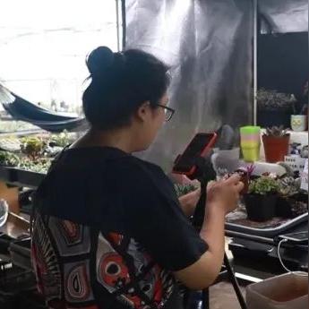 淘宝联盟收益归属解析，个人与公司间的权益界定