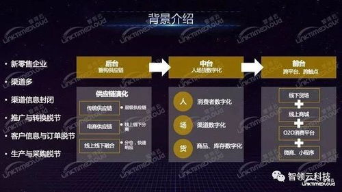 探索广告联盟项目，无站也能操作？揭秘行业真相
