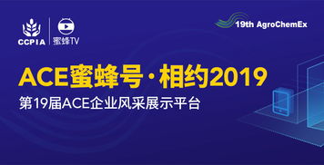 科鼎广告联盟，重塑数字营销新生态