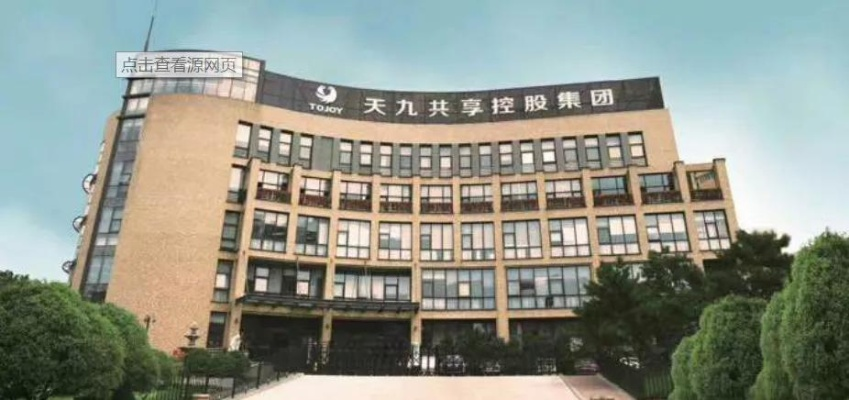 揭露九维联盟，九维广告联盟的真实面目与九维天策的骗局