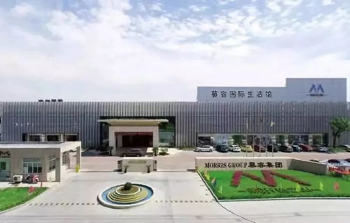 蜜趣CPS联盟，探索社交电商的新蓝海