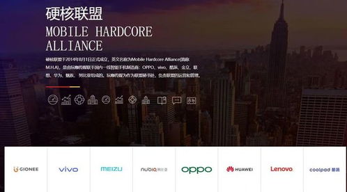 求佣金高的广告联盟，如何找到并优化你的盈利伙伴